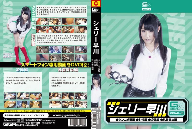 GDSC-27 JAV