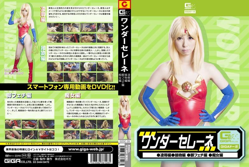 GDSC-28 JAV